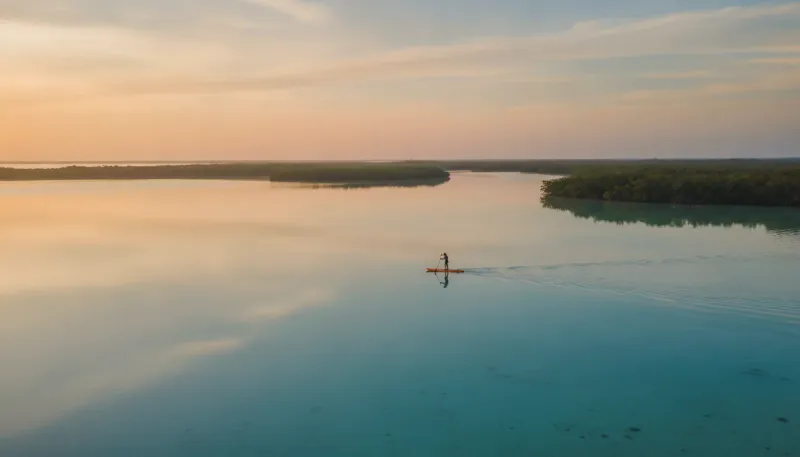 Florida landscape, backdrop for the Paddling Hubs Apopka directory