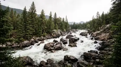 Whitewater